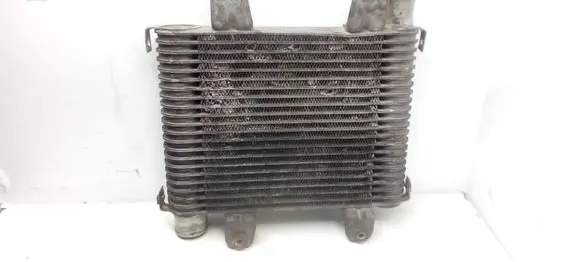 KIA Carnival Intercooler radiator 55313550