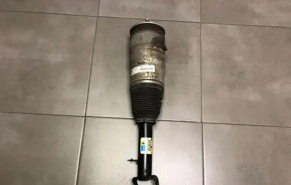 Tesla Model S Front shock absorber with coil spring 600635100C