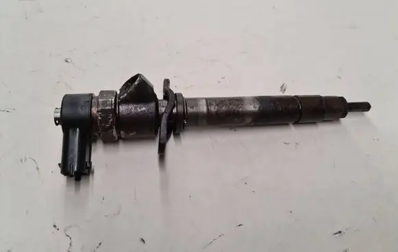 Volvo V70 Fuel injector 0445110078