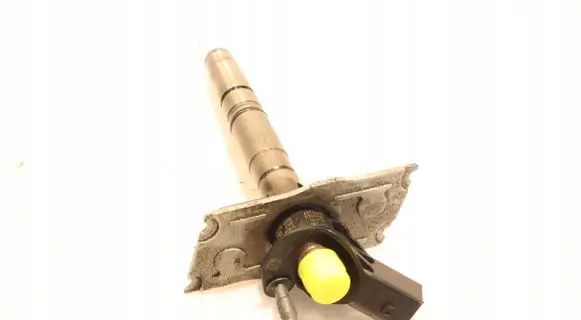 Audi A8 S8 D4 4H Fuel injector 0445117020