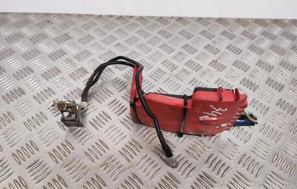 Citroen Berlingo Positive wiring loom 9662286080
