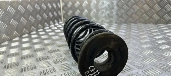 Rear coil spring