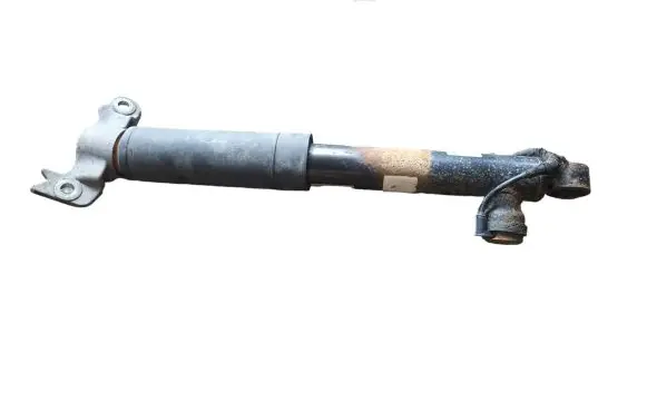 Opel Insignia A Rear shock absorber/damper 13319753 22961775