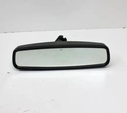 Ford F150 Rear view mirror (interior)