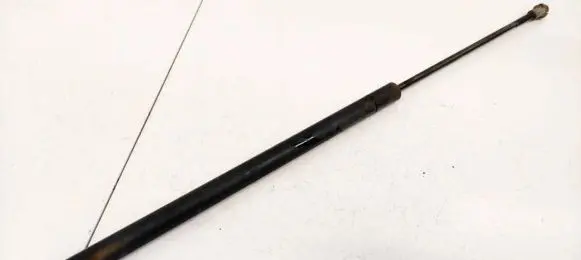 Tailgate/trunk strut/damper