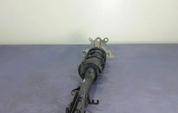 Jeep Compass Rear shock absorber/damper 68290250AB