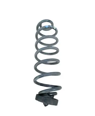 Rear coil spring