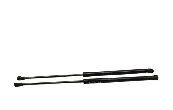 Tailgate/trunk strut/damper