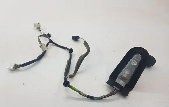 Rear door wiring loom