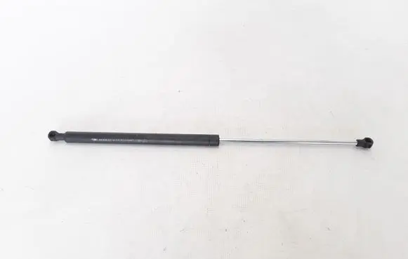 Tailgate strut