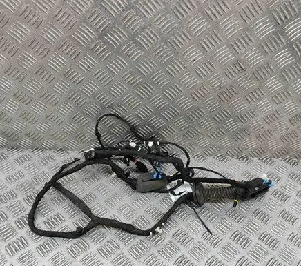 BMW X5 G05 Front door wiring loom 87748391 8714811