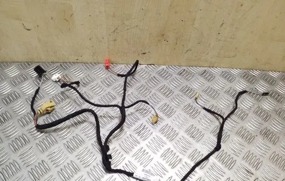 Rear door wiring loom