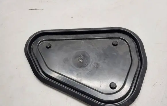 Other rear door trim element
