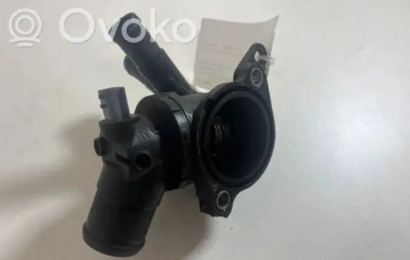 Thermostat/thermostat housing