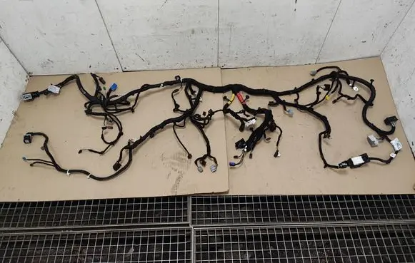 Ford Mustang Mach-E Other wiring loom LJ8T14401NED