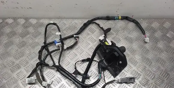 Lexus IS III XE30 Front door wiring loom 8215253482B3