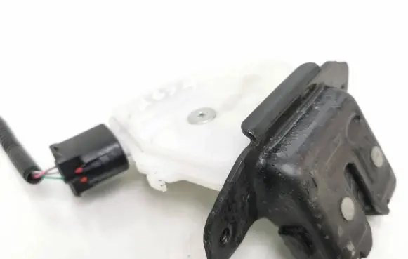 Loading door lock