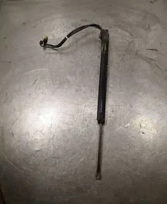 Opel Insignia A Tailgate/trunk strut/damper 13278258 007103