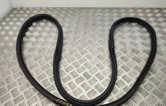 Citroen C3 Front door rubber seal