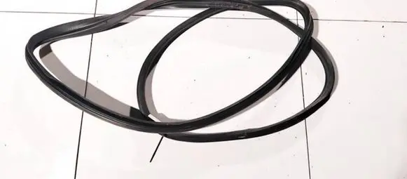 Peugeot 406 Rubber seal rear door 