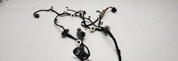 Rear door wiring loom