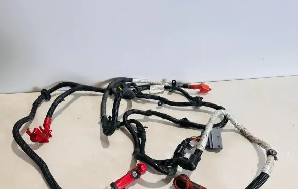 Engine installation wiring loom