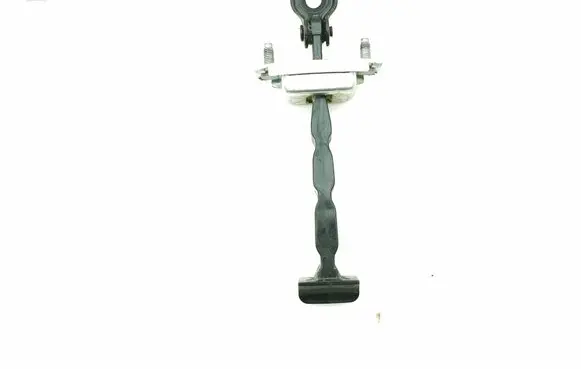 Renault Captur II Front door check strap stopper 20240704C