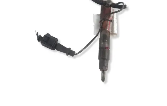 Skoda Fabia Mk1 (6Y) Fuel injector 038130202C 0432193574