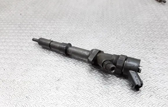 Peugeot 607 Fuel injector 0445110036