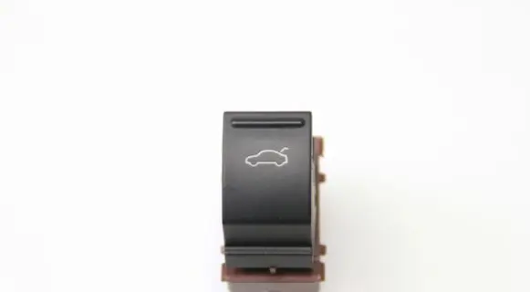 Volkswagen PASSAT B7 Tailgate opening switch 3AA959831