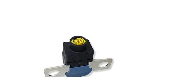 Renault Arkana Battery relay fuse 285A82523R
