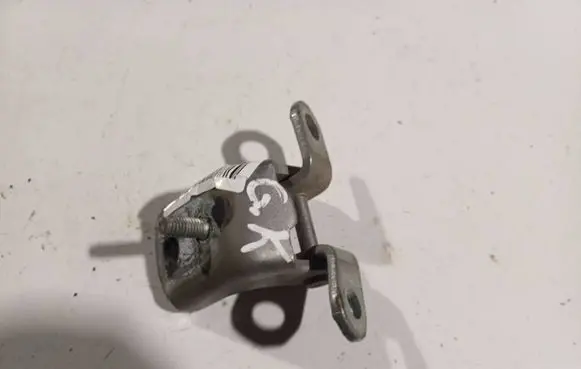 Rear door lower hinge