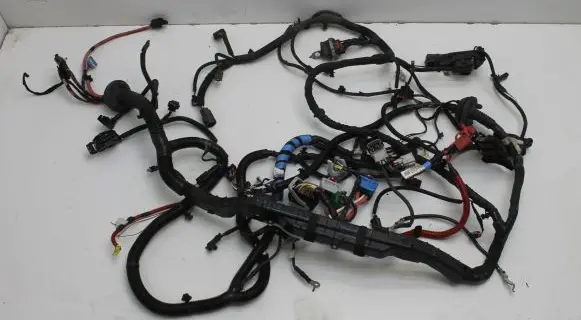 Tesla Model Y Other wiring loom 248905807B