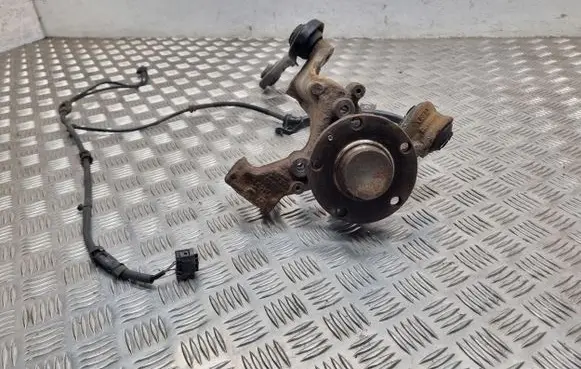 Seat Exeo (3R) Rear wheel hub spindle/knuckle 8E0501529P