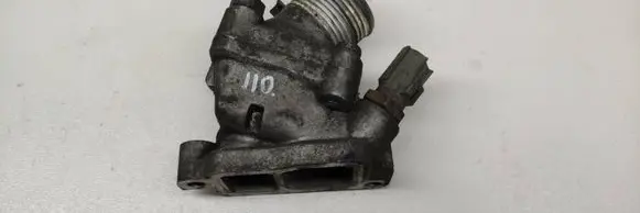 Thermostat/thermostat housing