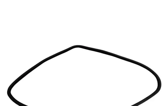 Dodge Charger Rear door rubber seal (on body) 