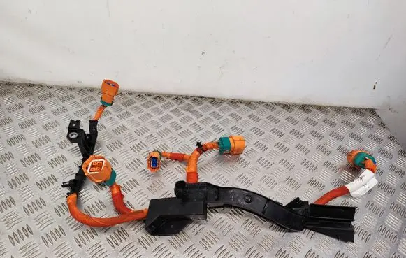Ford Mustang Mach-E Other wiring loom LJ9814B323AE