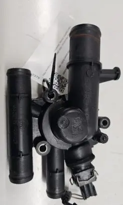 Thermostat/thermostat housing