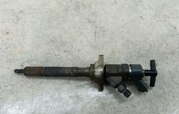 Peugeot 307 Fuel injector 0445110239