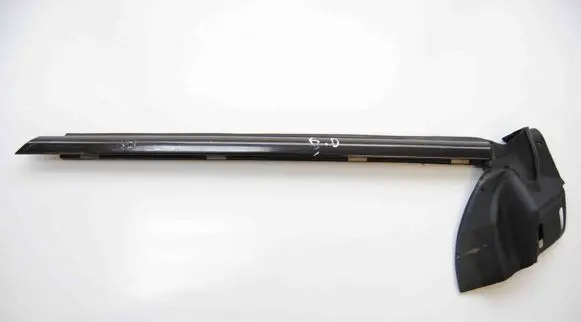 Rear door glass trim molding