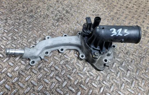 Thermostat/thermostat housing
