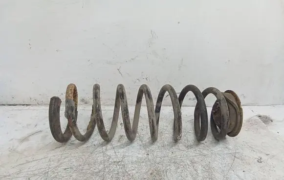 Peugeot Expert Rear coil spring