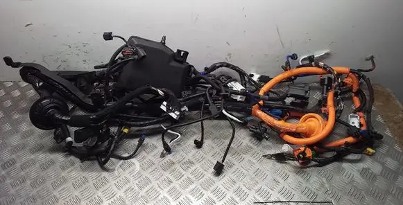 KIA EV6 Other wiring loom 91850CV010