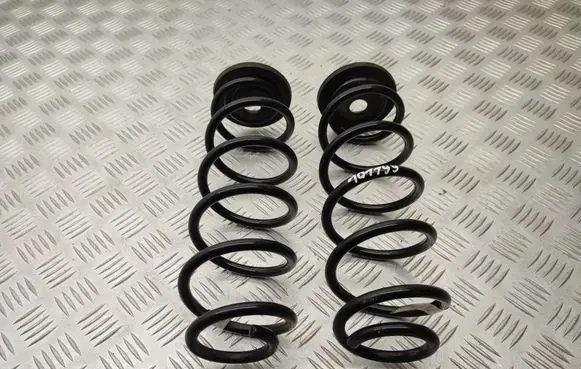 Skoda Scala Rear coil spring 2Q0511121DL