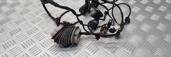 Volkswagen PASSAT B5.5 Front door wiring loom