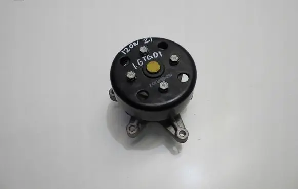 Hyundai i20 (BC3 BI3) Water pump 2102140624