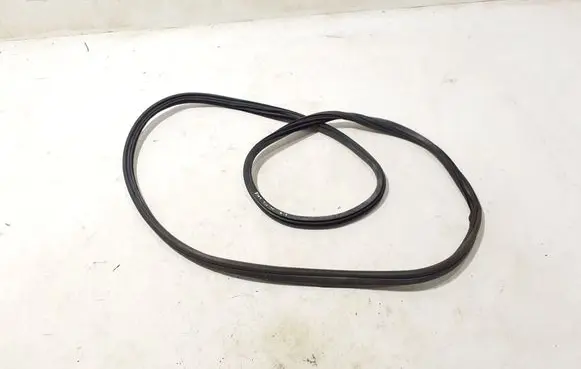 Fiat 500L Front door rubber seal 51905920