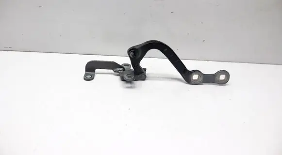 BMW iX3 G08 Tailgate/trunk/boot hinge 7397316