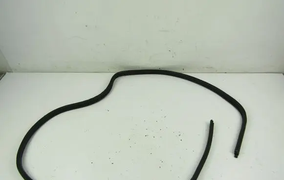 Renault Clio II Front door rubber seal 