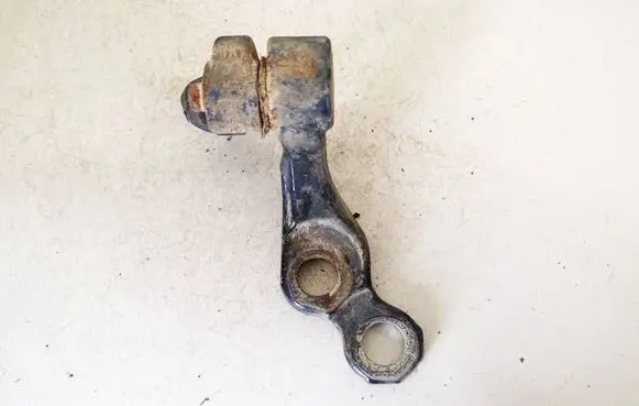 Ford Focus C-MAX Rear door lower hinge